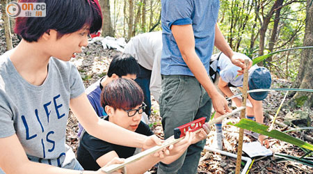 浸大國際學院新學年將開辦樹木管理副學士專修課程。