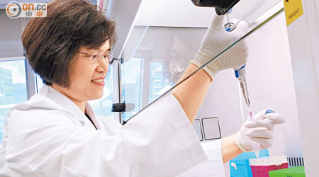 呂偉欣與團隊先在實驗室培植癌細胞，再進行基因研究。（張美蘭攝）