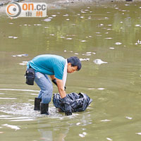 工人昨日帶同籮、垃圾桶及膠袋等，落湖撈魚清理。（黃君堡攝）