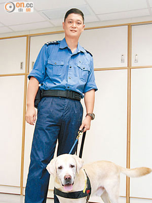 德仔<br>第一代火警調查犬「德仔」已經退役，有前線人員指當年牠可在消防局內走來走去。