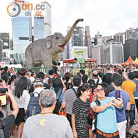 模仿大象「天奴」的吸蕉大笨象大受港人歡迎。