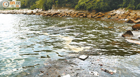 淺水灣泳灘附近驚現油污。（李國健攝）