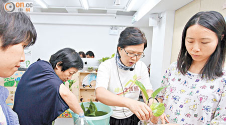 Navis（中）教導參加者製作DIY黃金葛盆栽。