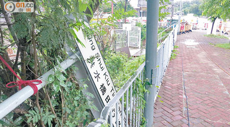 洪水橋田心路有路牌橫躺在行人路旁草叢。