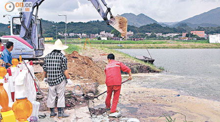 米埔魚塘塘壆因沉降而消失。（世界自然基金會香港分會提供）