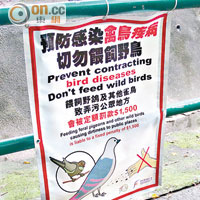 小徑附近懸掛了食環署的告示，呼籲市民切勿餵飼野鳥。