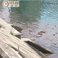 屯門河水面常有大堆垃圾漂浮，更不時發出異味。