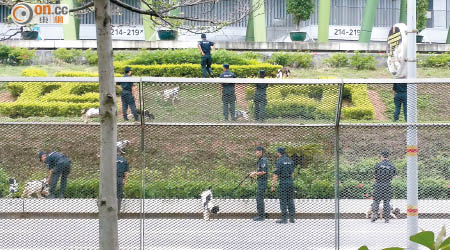 深圳寶安體育館內外氣氛緊張，警犬協助搜查可疑物品。