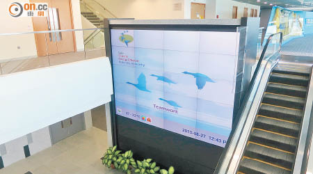 民航處新總部大樓遭揭裝有大批大型液晶體電視。
