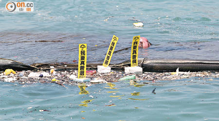 有人將「我要真普選」標語插在發泡膠再掉下海，污染環境。（羅錦鴻攝）