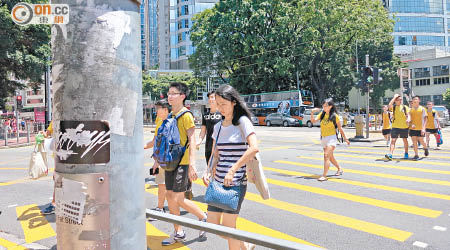 各區皆有相關道路設施，惟保養不足被指影響市容。