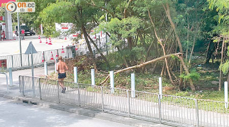 大埔公路大埔滘段近油站有樹木折斷，市民擔心會傷及途人。