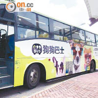 圖為狗巴士。（「99BUS HK香港寵物巴士企劃」facebook）