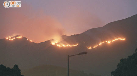 ○四年八仙嶺郊野公園山火，燒了三十四小時才被撲滅。