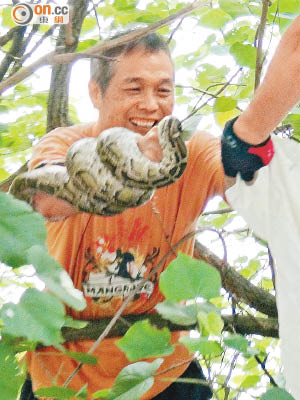 蛇王在城門河邊捕捉蟒蛇。（黃永健攝）