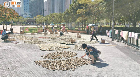 有市民佔用天秀路公園與宏逸廣場之間的通道曬果皮，阻礙途人通過。