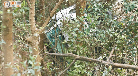 私家車飛墮廿米下山坡。（戴展邦攝）