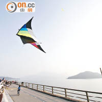 假日大埔船灣淡水湖主壩聚集不少放巨型風箏及踩單車的市民。