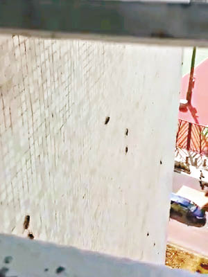 網上近日流傳觀塘公屋單位外牆曱甴大逃亡的短片。（互聯網圖片）