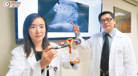 鄭嘉寧（左）指，嚴重的植入性胎盤恐令胎盤與子宮難以分離，或造成血崩。右為李文軒。（高嘉業攝）