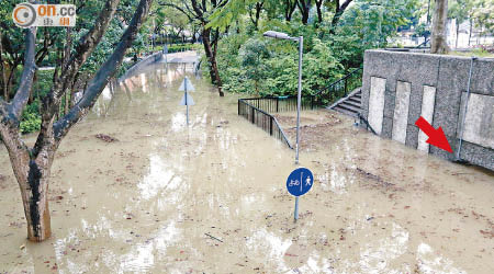 湧出鹹水幾近淹沒行人隧道（箭嘴示）。（林振華攝）