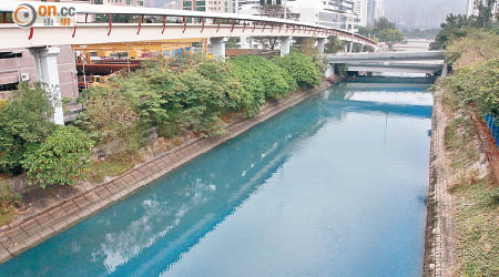 火炭渠出現長達八百米的藍色河水。