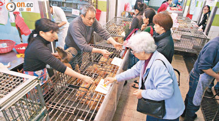 內地活雞供應仍未全面恢復，市民仍要捱貴價雞一段時間。（資料圖片）