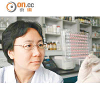 陳化蘭領導研究團隊監察豬流感病毒。