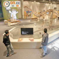 市民享受免費參觀博物館的優惠。
