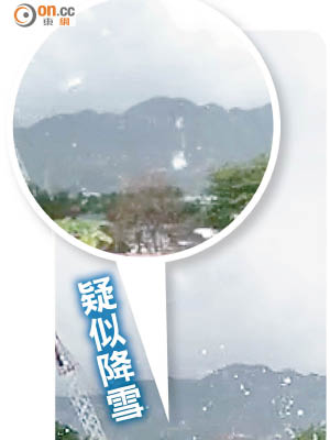 疑似降雪<br>有網民聲稱拍到疑似飄雪。（互聯網圖片）