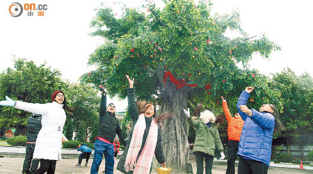 今年許願節新增項目協助市民達成願望。（何天成攝）