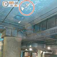 藍田站 <br>藍田站公共運輸交匯處天花其中一處批盪明顯剝落（紅圈示），顯示有滲水情況。