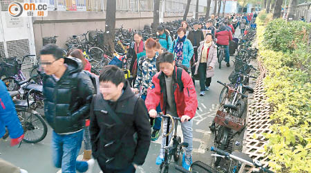 單車徑有大量行人，阻礙單車使用者。