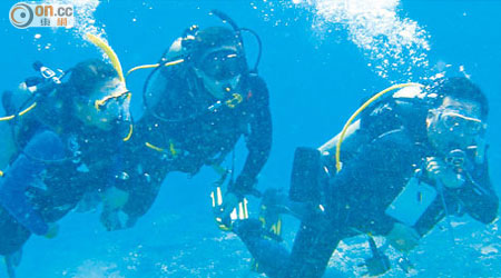 科研人員若非潛入海底，難以發現生態發展。（陳荔提供）