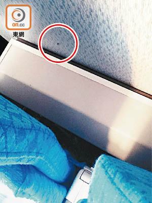 蚊子安然附在港龍客機椅背後面的牆上（紅圈示）。（讀者提供）