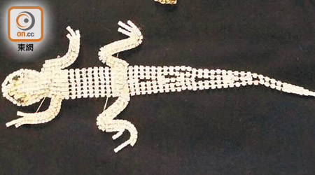 贓物包括一件鑲滿鑽石的蜥蜴形狀飾物。