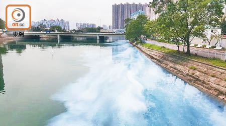 屯門河中段昨早突湧現大量白色液體。（陳雲生提供圖片）