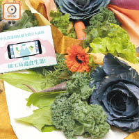 「時蔬花束」由五種本地農場種植蔬菜紮成，更附上介紹了所選用蔬菜的心意卡。