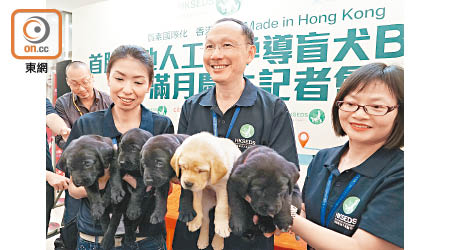 港產導盲犬「五小福」首次和大家見面。