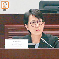 蔡潔如指議員助理與公務員的工作性質有別，不應將兩者薪酬掛鈎。（徐家浩攝）