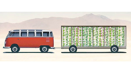 流動水耕菜拖車種植的農作物，收成比起傳統耕種快兩倍。（互聯網圖片）