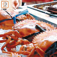 荃灣<br>潮食生醃海鮮，一間食肆將醃製的新鮮海鮮「無遮無掩」暴露空氣中。