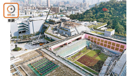 吊臂車到場清走惠卿劇院天台植物。（黃永健攝）