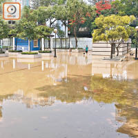 鹹水浸入公園。（曾紹良攝）