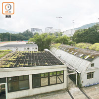 中大<br>為釋除疑慮，各大學亦陸續移除屋頂植被或全面檢查綠化天台。