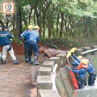 拉回地面