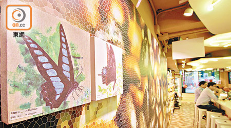「夢飛牆」於咖啡店展出，讓公眾一次過欣賞五十幅不同品種的香港蝴蝶畫。