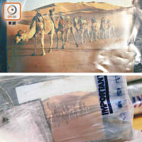 今次搜獲的可卡因（上圖）與本月中在落馬洲搜出的可卡因（下圖），包裝極為相似，均印有駱駝圖案。