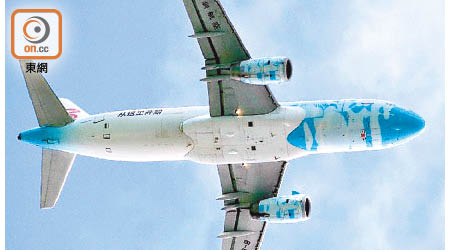 在大佛附近遠足的外籍人士拍下低飛的深圳航空客機照片。（The Aviation Herald）