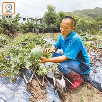 陳志祥過去四年均有參加西瓜節的展銷活動。